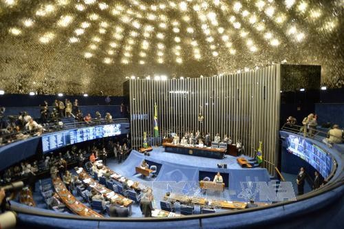 Сенат Бразилии начал процедуру импичмента президента Дилмы Русеф - ảnh 1